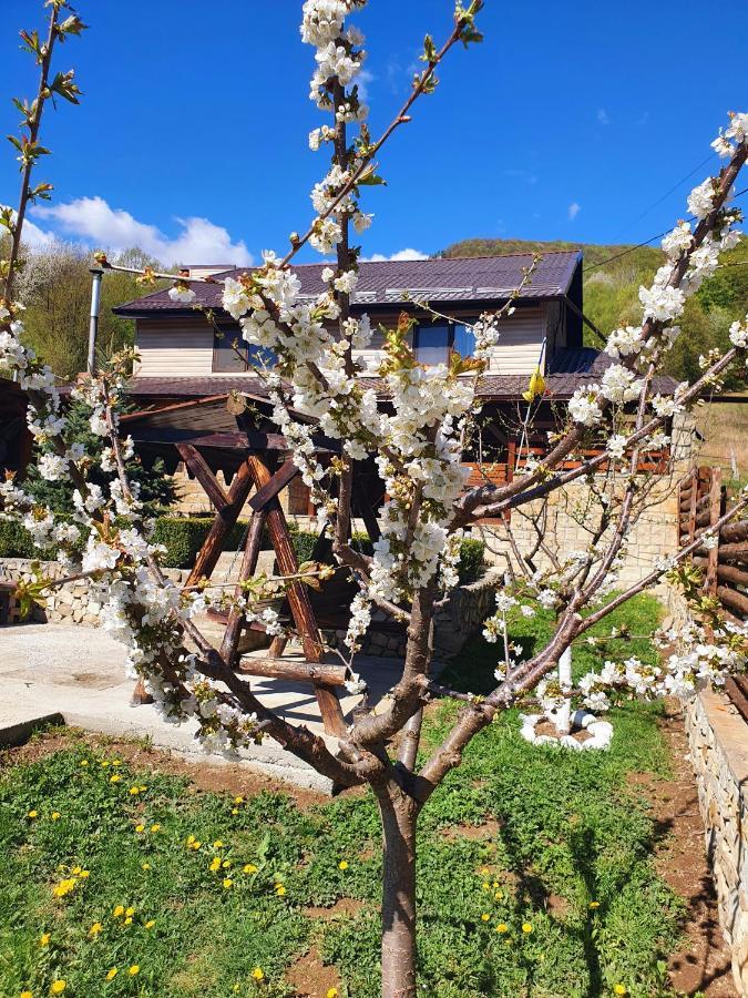 Rooms Poienita Slănic-Moldova Dış mekan fotoğraf