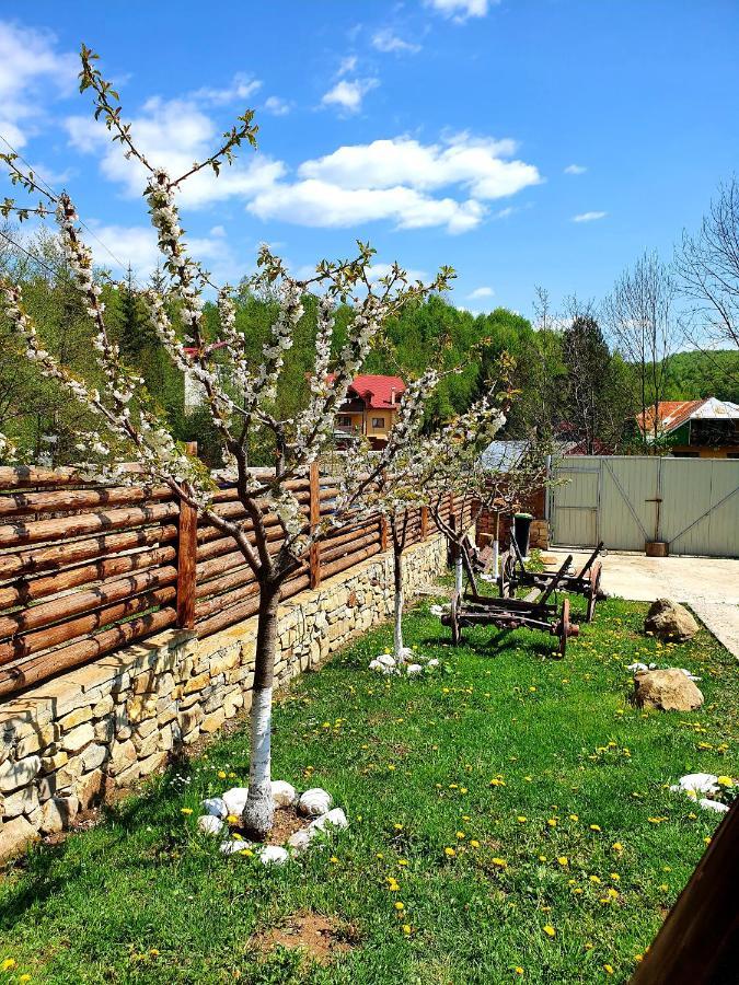Rooms Poienita Slănic-Moldova Dış mekan fotoğraf